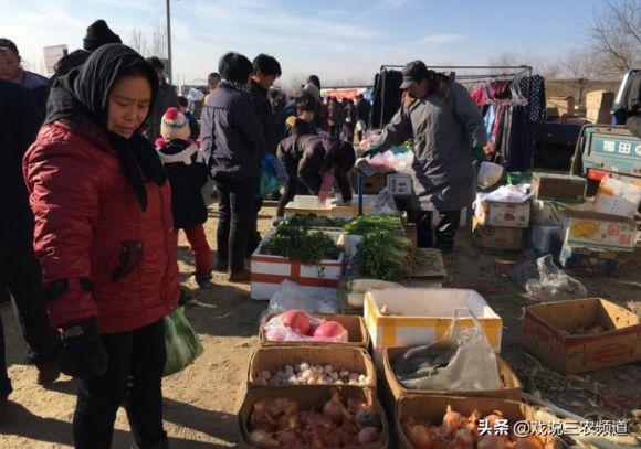 2022年最可能暴涨的东西