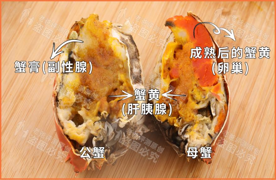 大闸蟹是公蟹好吃还是母蟹好吃?