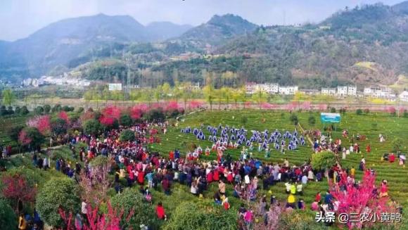 春分节气的含义是什么意思