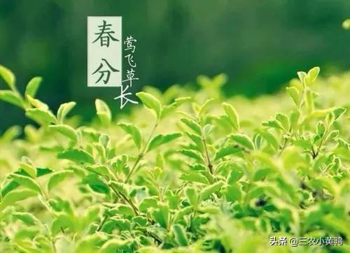 春分节气的含义是什么意思