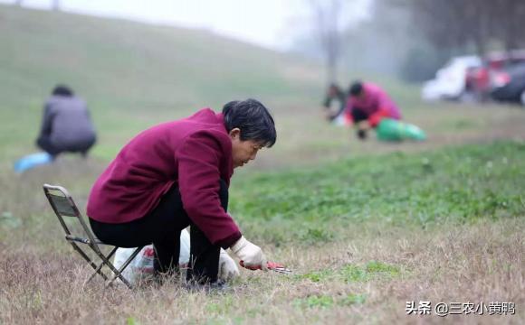 春分节气的含义是什么意思