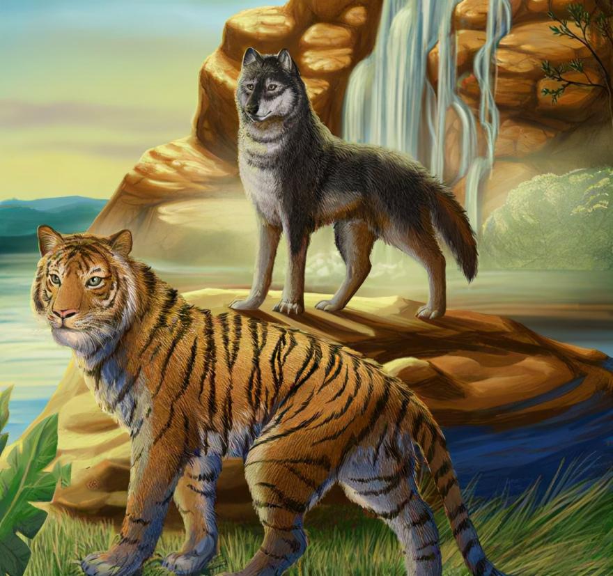 为什么说女人三十如狼四十如虎