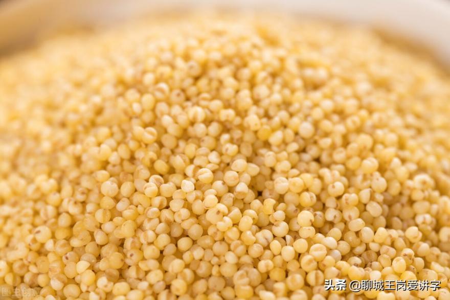 粟姓氏怎么读li还是su