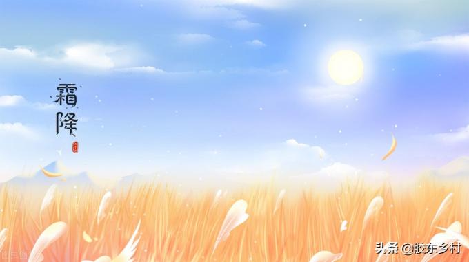 冬至日是几月几日2021