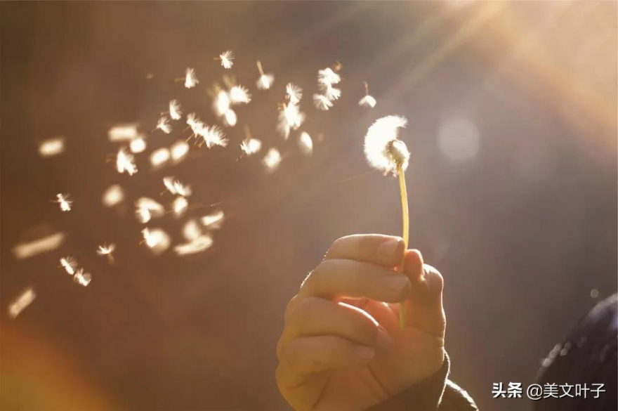 什么是职场pua行为